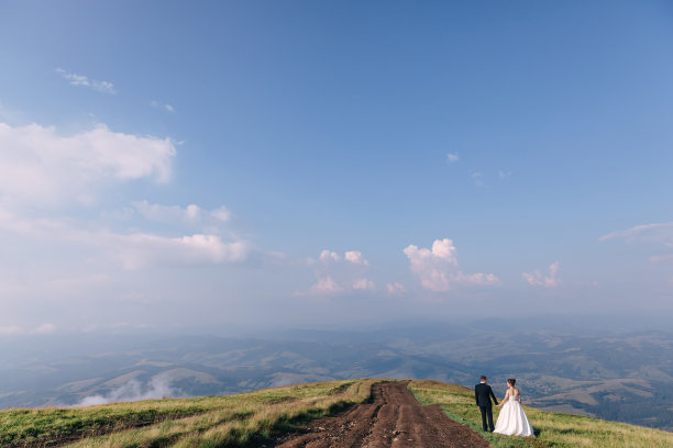 新婚夫妇走在田野里，风景优美。新娘和新郎图片下载