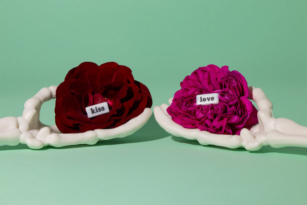 骷髅手捧粉色和红色的花，在花的文字吻和爱，创意浪漫的概念，永恒的爱图片下载