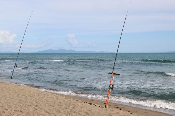 沙滩上的两根钓鱼竿，浪花白茫茫图片下载