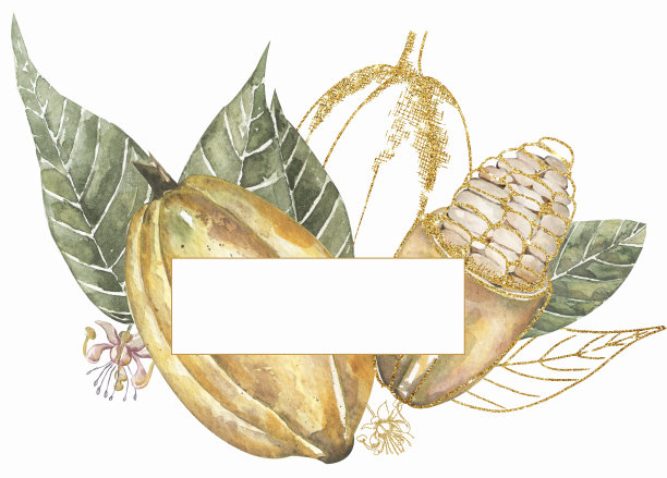 水彩手绘复古风格可可树枝和金色线条框架插图，花圈，可可叶和豆荚边界剪贴画图片下载