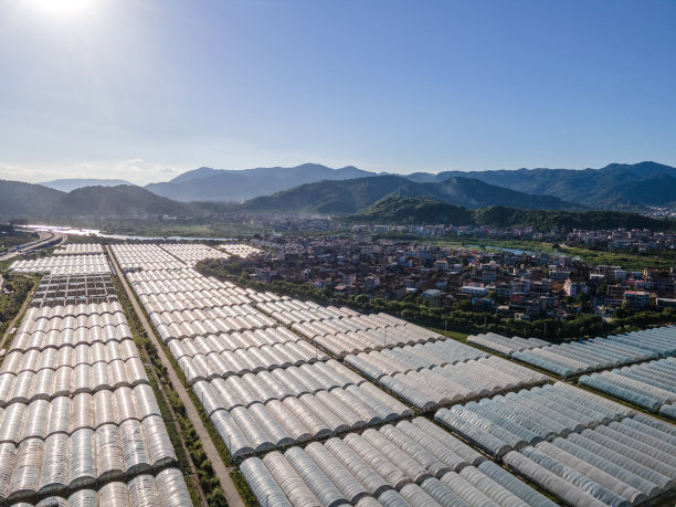鸟瞰村附近的农用蔬菜大棚图片下载