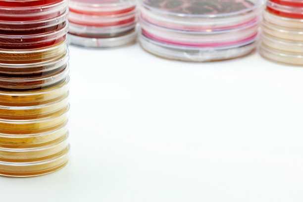 微生物实验室的培养皿。文本空间图片下载