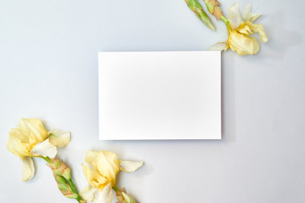 模拟白色贺卡与黄色虹膜在浅色背景图片下载