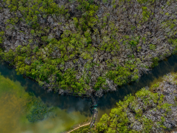 顺化顺化省Ru Cha红树林的航拍照片图片下载