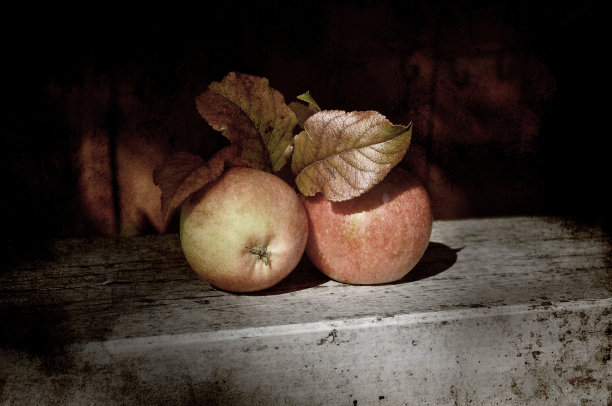 苹果静物图片下载