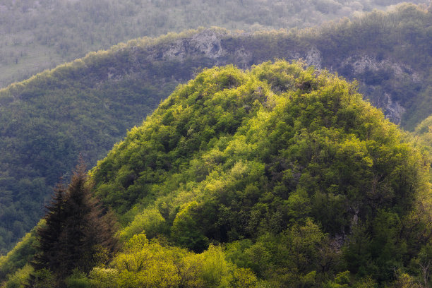 G代表Garfagnana图片下载