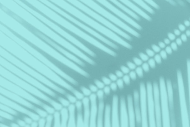 热带棕榈叶阴影在柔和的颜色背景与复制空间图片下载