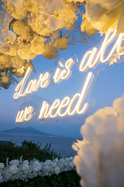 霓虹字母与那不勒斯维苏威火山背景和花朵图片下载