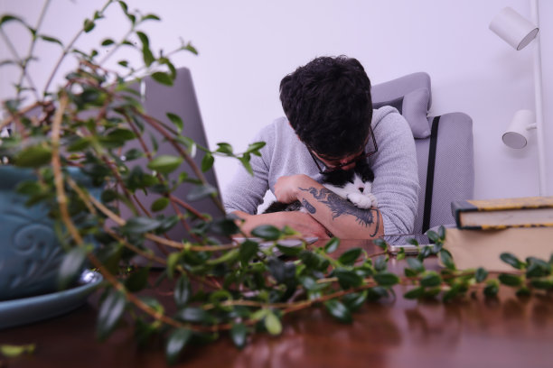 中年男子在家里聊天图片下载