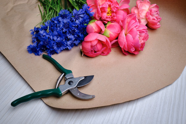 花修剪器和一束粉红色的牡丹特写在工艺纸上。花店的概念。收集一束花图片下载