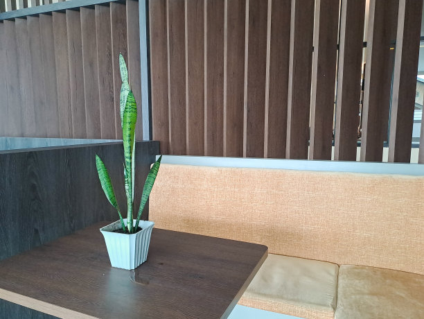 客厅木桌上的装饰植物图片下载