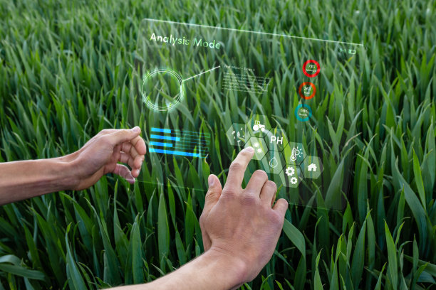 利用人工智能改善作物健康和生长图片下载