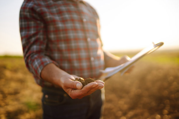 男性的手触摸着田地里的泥土。耕过田地的工人拿着土。图片下载