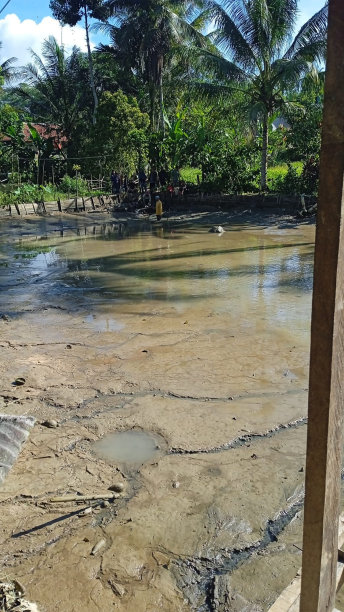 丰收:渔获之乐图片下载