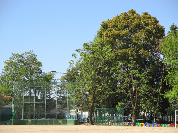 没有人度假的日本小学校园风景图片下载