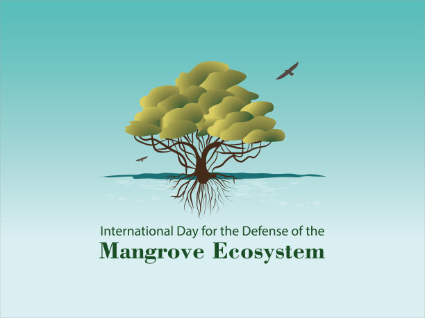 保护红树林生态系统国际日。7月26日图片下载
