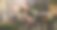 男花商收集花束和记录视频为博客使用手机和平板电脑图片下载