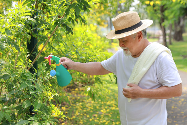 退休后阳光明媚的日子里，一位亚洲老年老人悠闲地站在花园后院，一边给花草浇水，一边谈笑风生。快乐老年人户外生活理念。图片下载