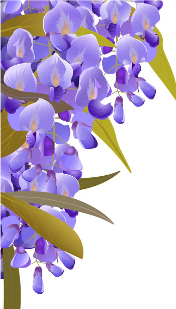 装饰角落的紫丁香花的分支，用于文字，卡片，装饰品，婚礼，壁纸图片下载