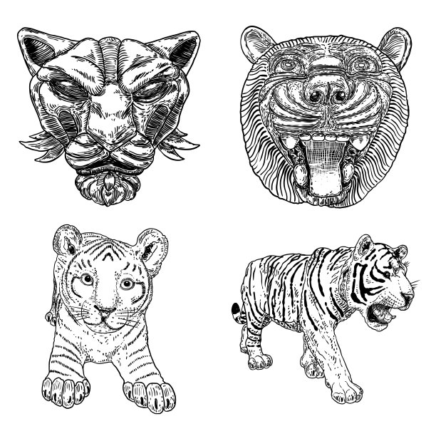 一组活的老虎幼崽咆哮和咆哮。画活的和石头制成的身体和枪口。亚洲动物，中国农历新年的象征和生肖。向量。图片下载