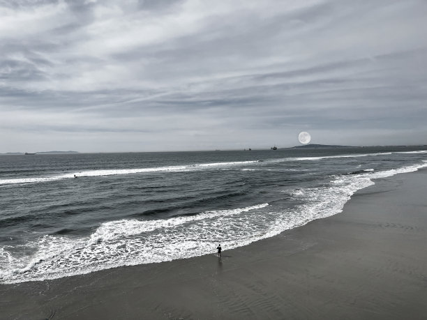 月亮从海岸升起图片下载