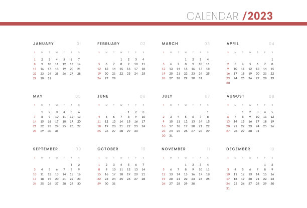 2023年历模板。矢量布局的墙或书桌简单的日历与周开始周日。图片下载