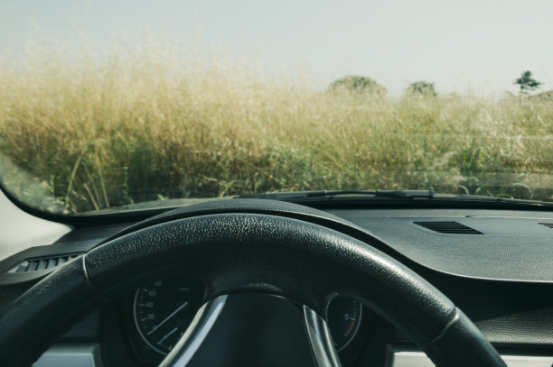 车前的植被太多了图片下载