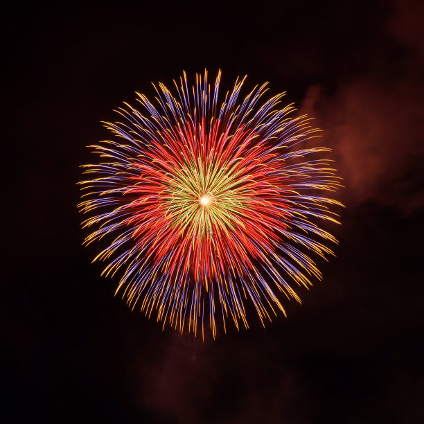 一种美丽而艺术的日本烟花图片下载