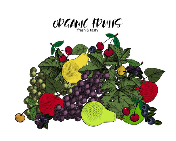 一个模板与花园水果。图片下载