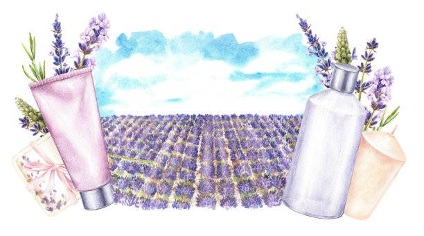 水彩插图。薰衣草田，蓝天，化妆品瓶。面霜、洗发水、沐浴露、蜡烛和肥皂。普罗旺斯的花园景观。孤立在白色背景上图片下载
