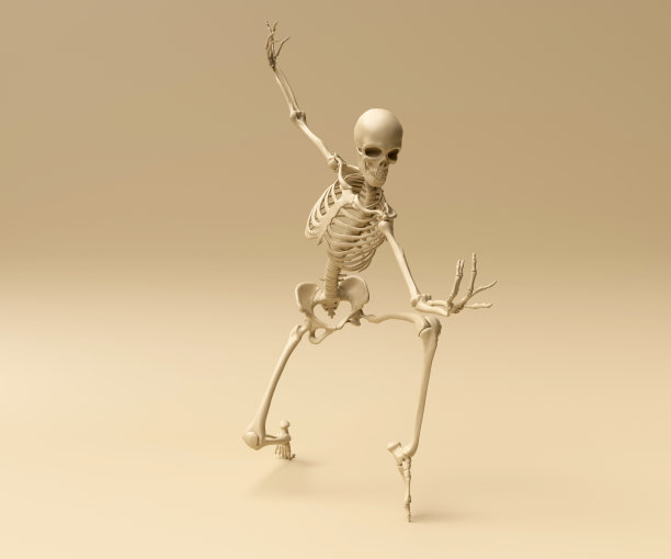 骨架构成图片下载