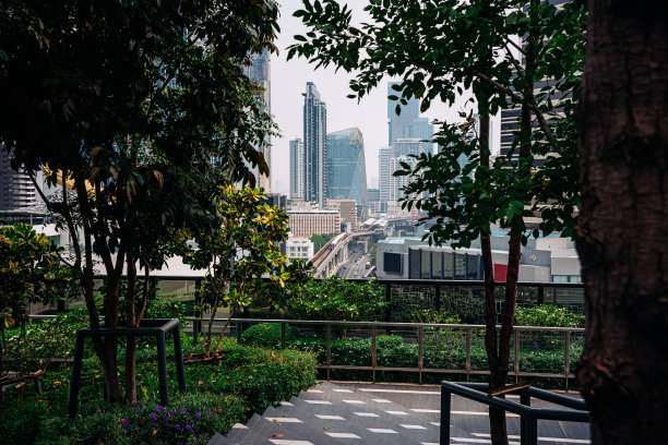 高线公园和摩天大楼图片下载