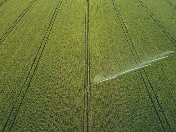 照顾庄稼。农业灌溉系统鸟瞰图，灌溉农田图片下载