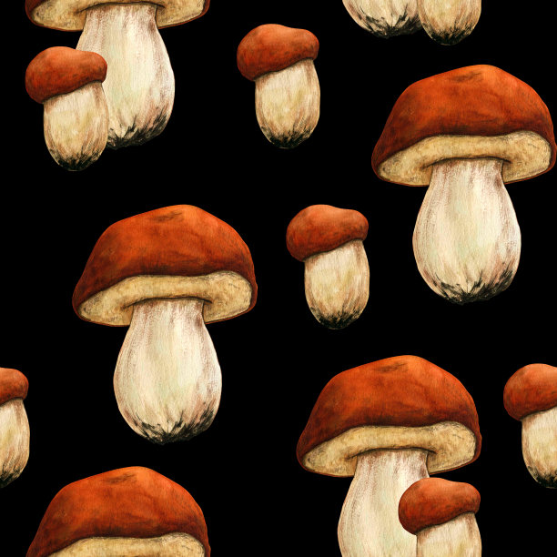 蘑菇无缝图案。植物天然林主题。水彩孤立插图黑色背景。手绘剪贴艺术明信片，海报，纺织品设计等图片下载