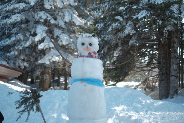 有胡萝卜鼻子和蓝色围巾的雪人图片下载