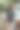 现代商务女性在现代绿色办公室里伸出手图片下载