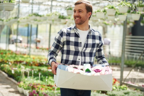 用纸盒装东西。花匠在园艺中心工作。成功的员工就像在明亮的温室里图片下载