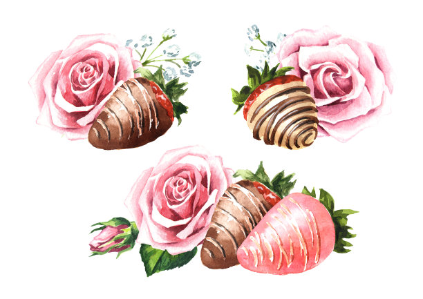 玫瑰花和甜草莓在釉浸白巧克力和牛奶巧克力套装。手绘水彩插图，孤立在白色背景上图片下载