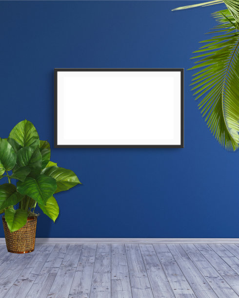蓝色墙壁上的水平框架模型与绿叶植物3d渲染插图。图片下载