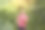 在一个美丽的夏日里，在公园里晒太阳的女人。美丽的年轻女子慢跑训练锻炼。健康生活理念。图片下载