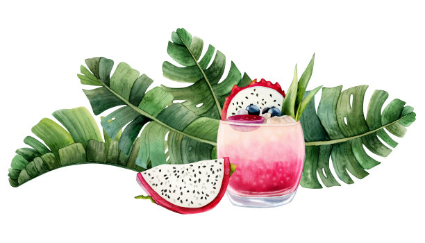 明亮的夏季火龙果鸡尾酒柠檬水火龙果片和绿色棕榈叶水彩插图孤立在白色背景。新鲜的热带异域饮料旗帜图片下载