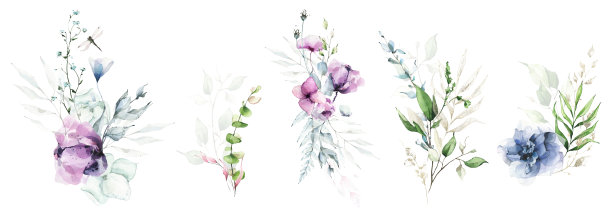 花卉水彩画集。花束以蓝、紫玫瑰、牡丹、绿松石、绿叶、蕨类枝、桉树枝为主图片下载