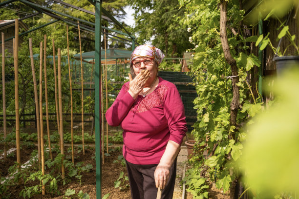 老农民早上高兴地说图片下载