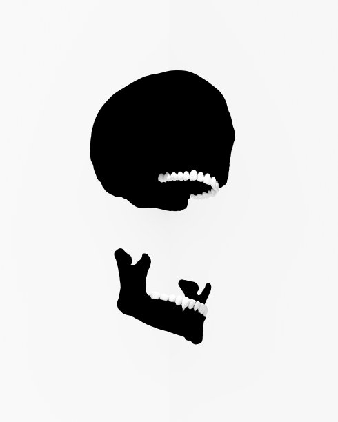 黑色的头骨，白色的牙齿，白色的背景，高对比度浮动封锁轮廓分离下巴低角度长镜头现代摄影图片下载