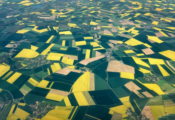 鸟瞰图，令人惊叹的几何纹理景观，许多农田有不同的植物，如油菜籽和小麦。农业产业图片下载