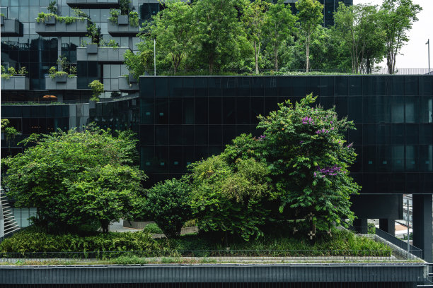 有绿色墙壁的建筑图片下载