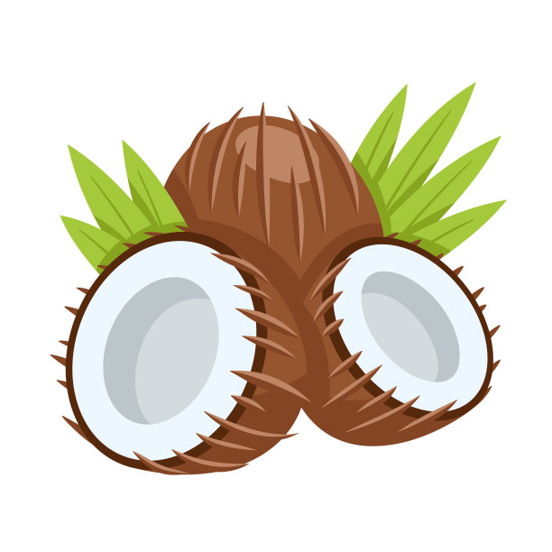 椰子图标孤立的白色背景图片下载