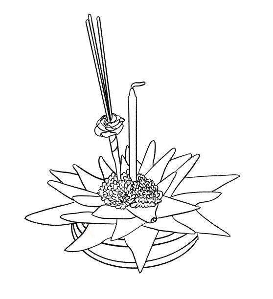 花的装饰在节日里孤立在白色上图片下载