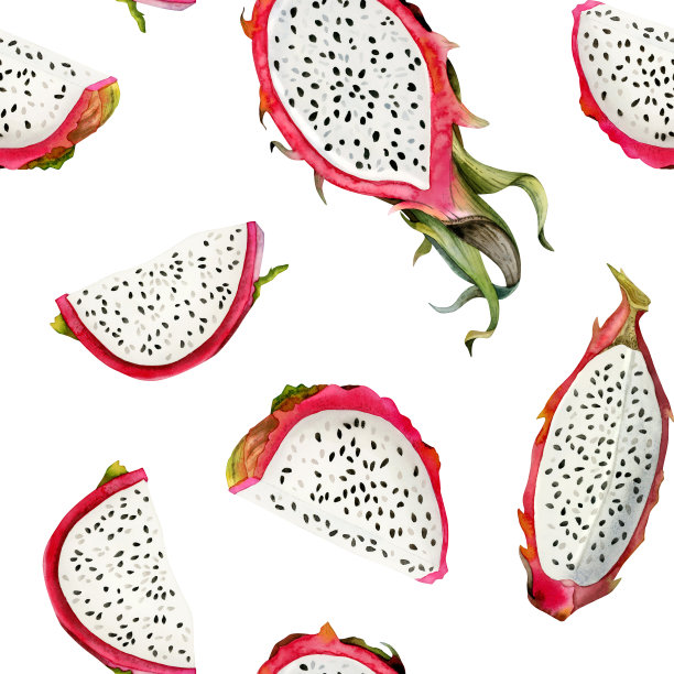 粉红色龙果无缝图案与水彩火龙果图纸在白色的背景。手绘插图夏季菜单，面料，热带设计图片下载