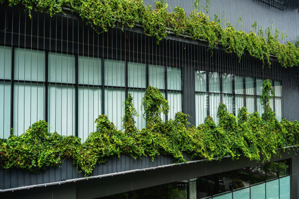 商业区和绿色的真正的数字公园图片下载